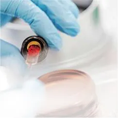 Drug impurity Reference Standards