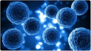 MRTX1133--Anti-tumor efficacy of a potent and selective non-covalent KRASG12D inhibitor